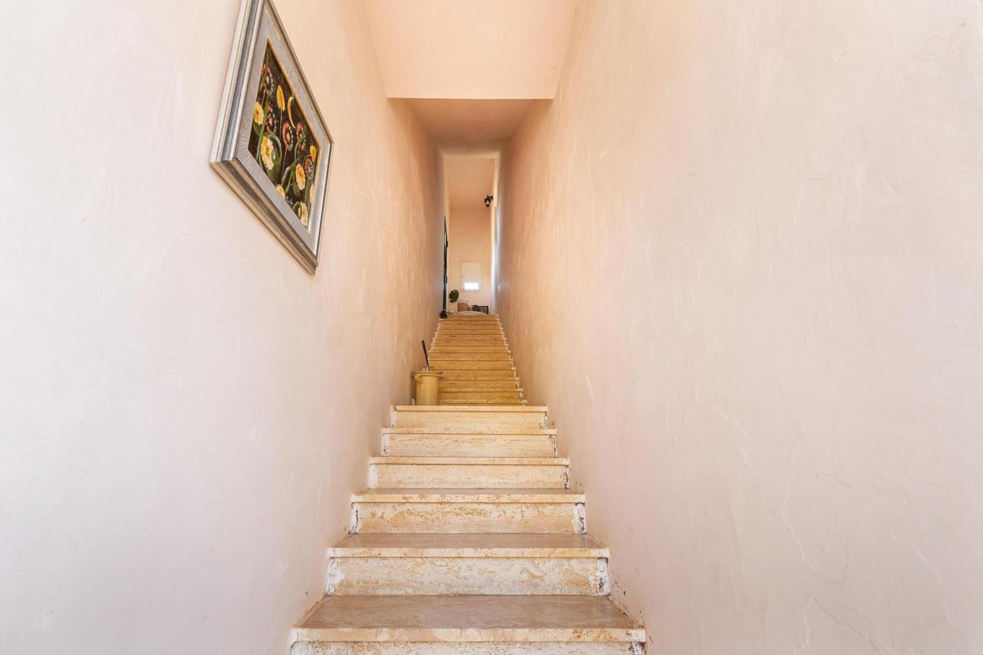 Masseria Sierri By Perle Di Puglia サン・パンクラーツィオ・サレンティーノ エクステリア 写真